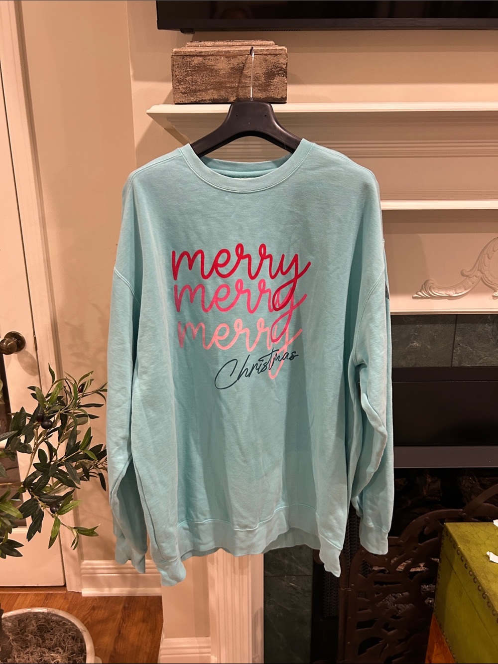 Comfort Colors Aqua Crewneck Sweatshirt
